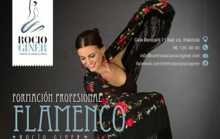 escuela de flamenco de andalucía