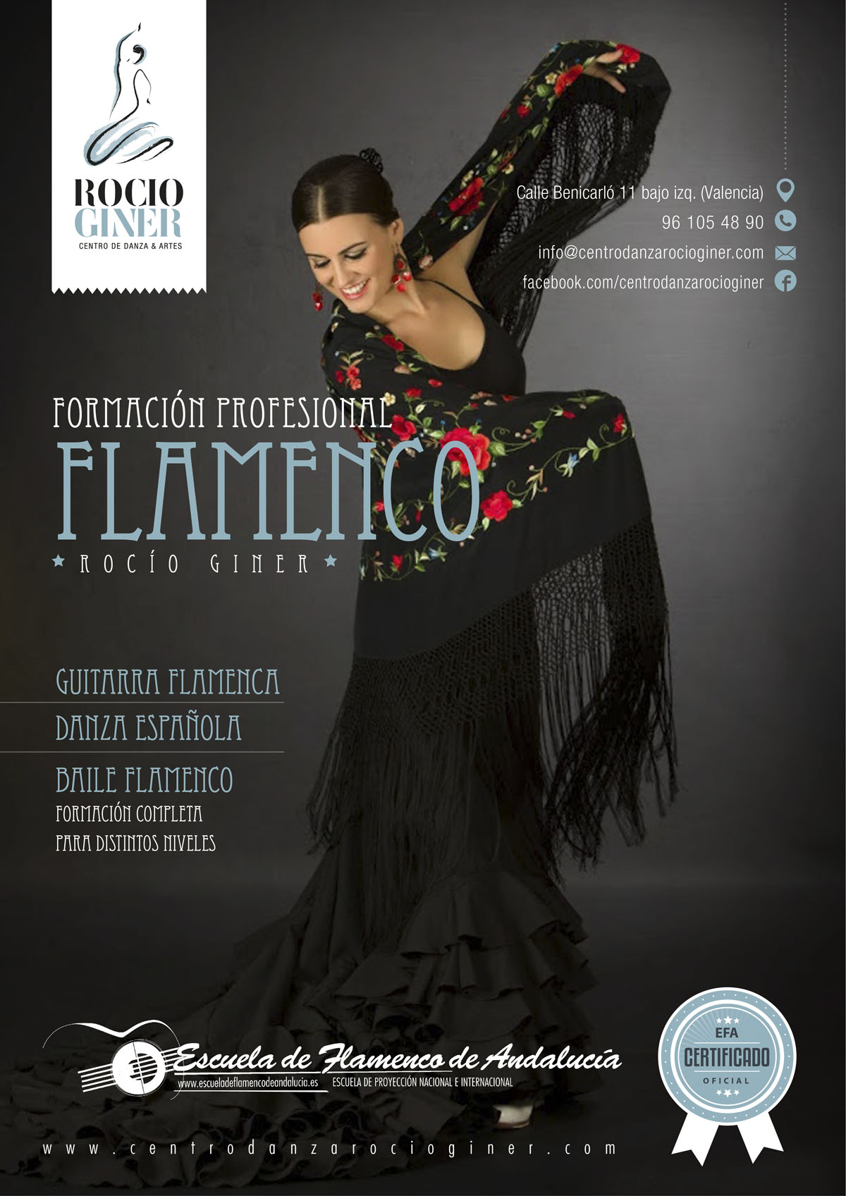 escuela de flamenco de andalucía