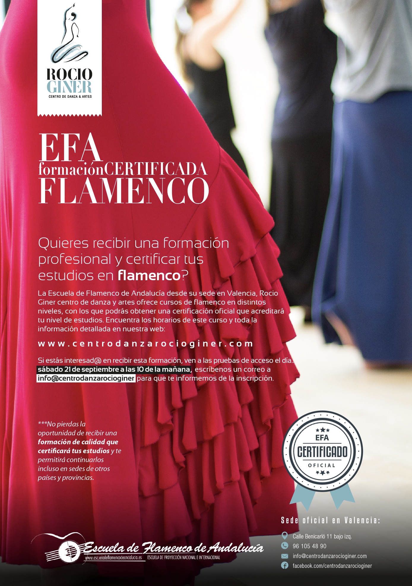 Flamenco EFA en Valencia
